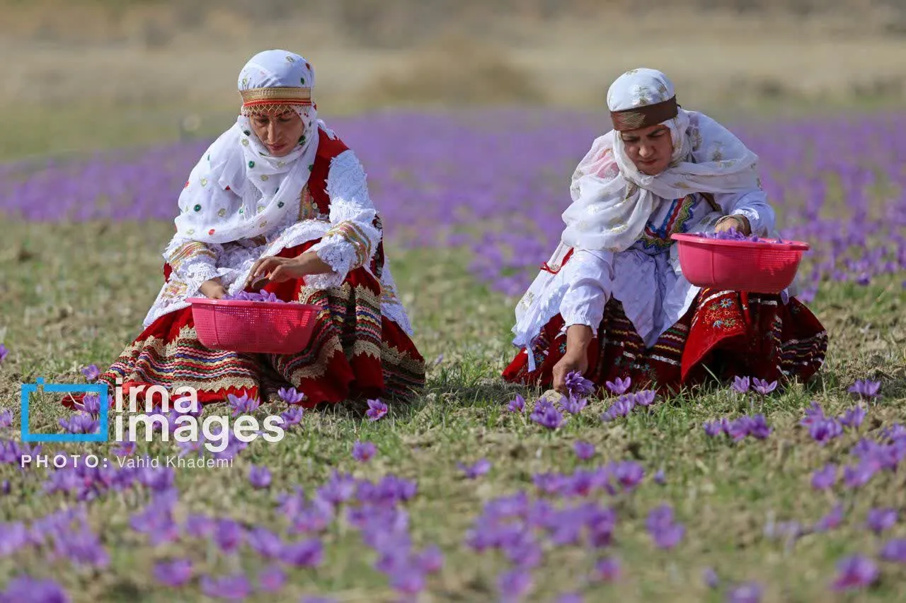 ۲۷۰۰ زن روستایی و عشایری برای ورود به بازارهای آنلاین آموزش می بینند